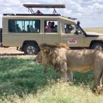 Maasai legend safaris